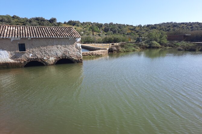 Algarve Private Tour With Typical Lunch - Cultural Insights