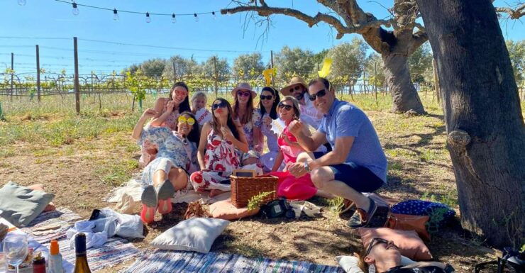 Algarve Private Vineyard Picnic With Wine Pairing - Experience Highlights