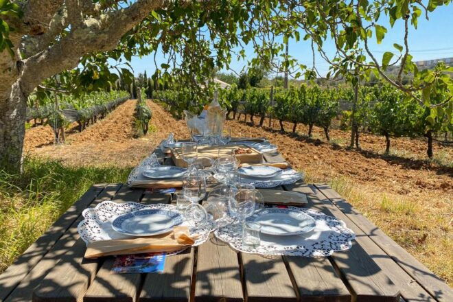 Algarve Private Vineyard Picnic With Wine Pairing - Itinerary
