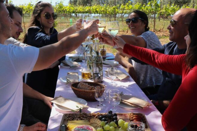 Algarve Private Vineyard Picnic With Wine Pairing - Inclusions