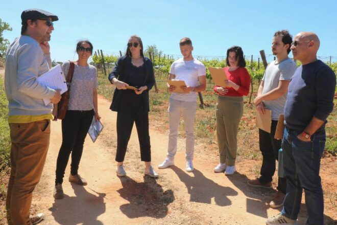 Algarve Private Vineyard Picnic With Wine Pairing - Important Information