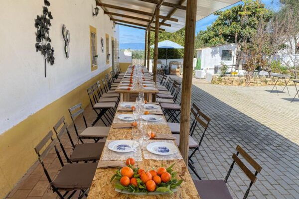 Algarve Private Vineyard Picnic With Wine Pairing - The Sum Up