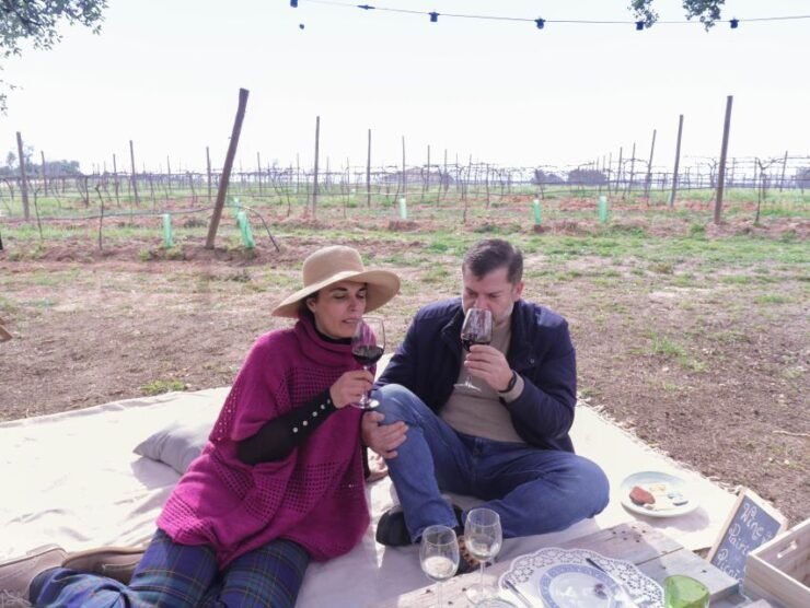 Algarve Romantic Vineyard Picnic - Activity Details