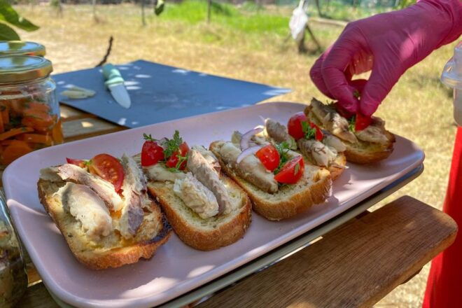 Algarve Romantic Vineyard Picnic - Directions
