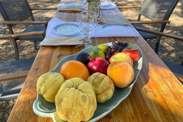 Algarve Romantic Vineyard Picnic - Frequently Asked Questions