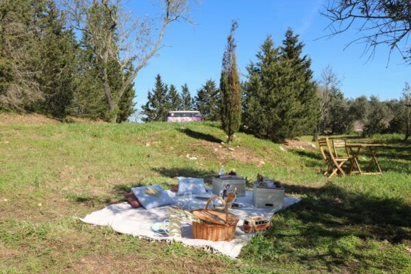 Algarve Romantic Vineyard Picnic - The Sum Up