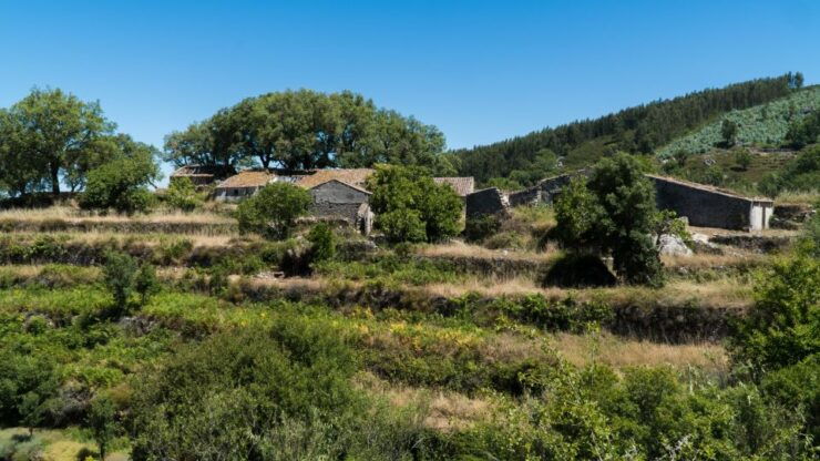 Algarve: Serra De Monchique & Bravura Off-Road Day Trip - Tour Highlights