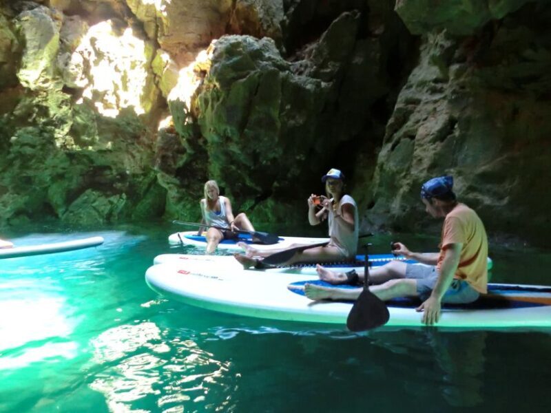 Algarve: Stand Up Paddle Tour w/ Snorkeling to Ingrina Caves - Marine and Birdlife Encounters
