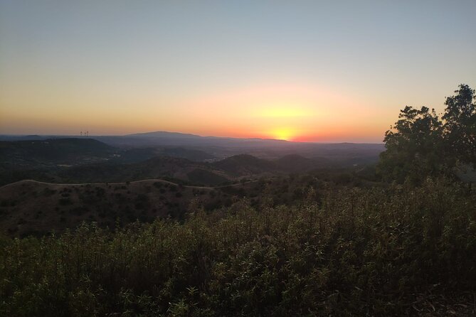 Algarve Sunset Safari Tour From Albufeira - Customer Reviews
