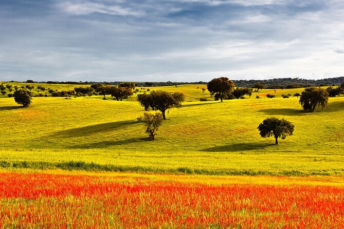 Algarve to Lisbon With Stop at Évora, Bones Chapel and Cork Factory - Exploring the Historic City of Évora