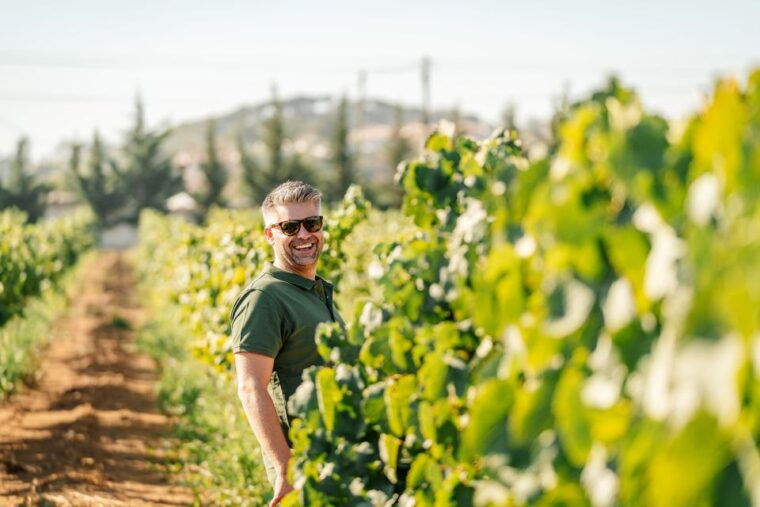 Algarve: Vineyard Tour & Premium Wine Tasting in Silves - Who Will Love This Experience?