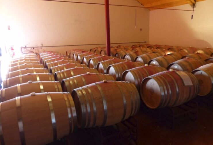 Algarve Wine Tour and Mountain Top Trip With Lunch or Dinner - Itinerary