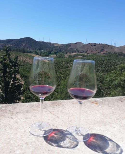 Algarve Wine Tour of two estates guided by wine expert - Who Should Consider This Tour?