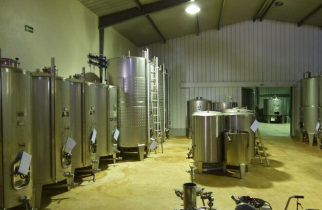 Algarve Wine Tour of Two Estates Guided by Wine Expert - Wine Expertise