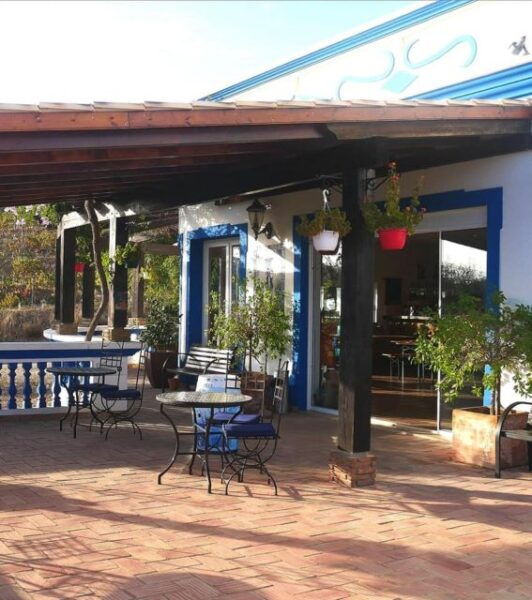 Algarve Wine Tour of Two Estates Guided by Wine Expert - Booking Information