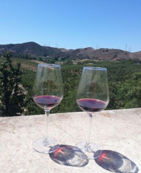 Algarve Wine Tour of Two Estates Guided by Wine Expert - The Sum Up