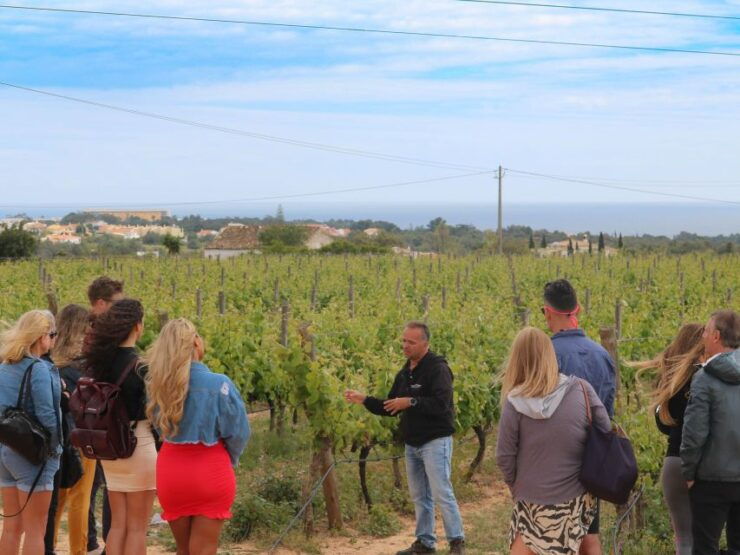 Algarve: Winery Tour With Tastings, Tapas and Music - Tour Details