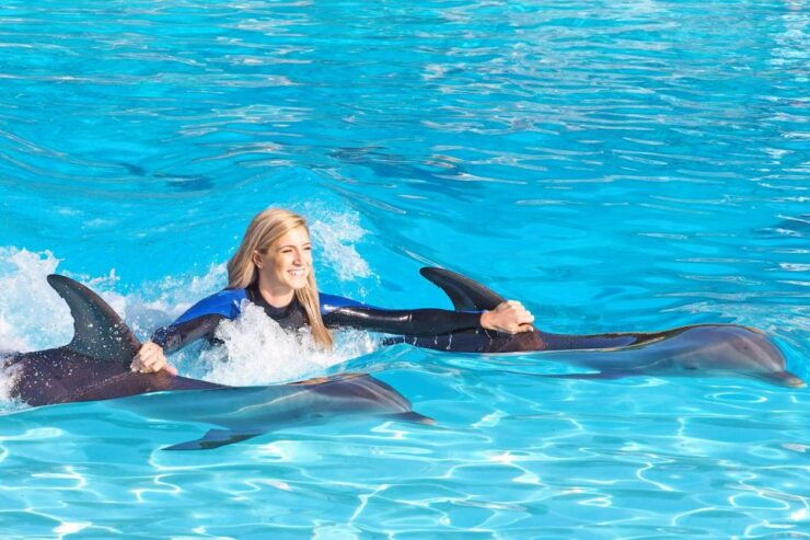 Algarve Zoomarine Ticket and Dolphin Emotions Experience - Language Options and Activities