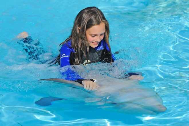 Algarve Zoomarine Ticket and Dolphin Emotions Experience - Inclusions and Important Information