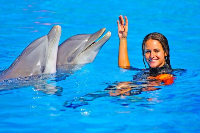 Algarve Zoomarine Ticket and Dolphin Emotions Experience - Requirements and Suitability