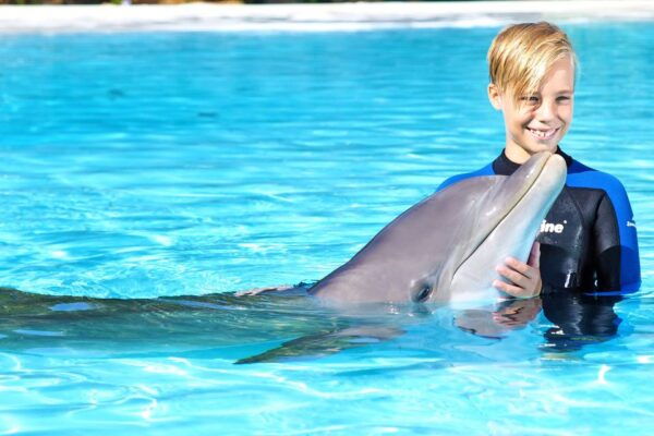 Algarve Zoomarine Ticket and Dolphin Emotions Experience - Visitor Feedback and Comments