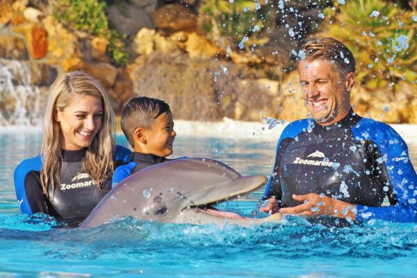 Algarve Zoomarine Ticket and Dolphin Emotions Experience - The Sum Up