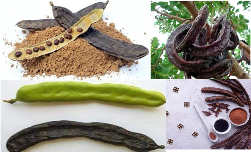 ALGARVE'S CAROB TRAIL - In The Sum Up: Is the Algarves Carob Trail Worth It?