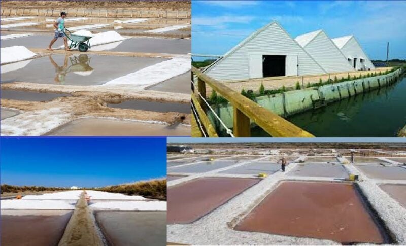 ALGARVE'S SALT TRAIL - The Sum Up