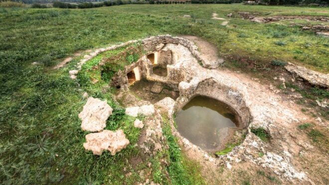 Alghero: Anghelu Ruju Necropolis With Audio Guides - Visitor Guidelines and Tips