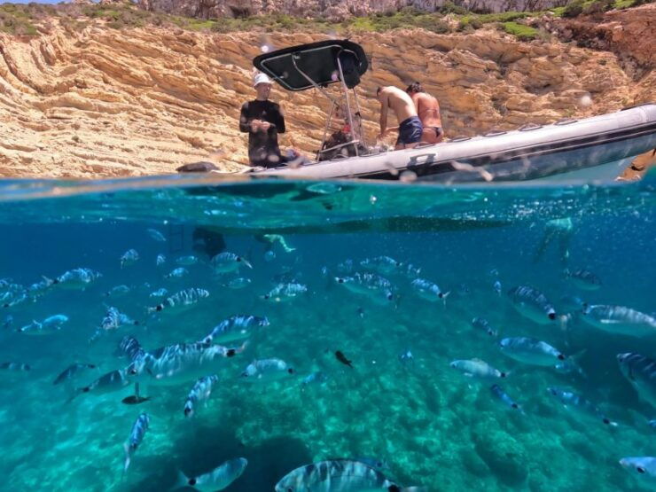Alghero Boat Tour - Tour Details