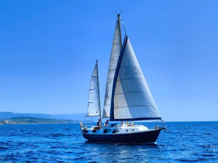 Alghero: Day Trip on a Sailing Boat - Highlights