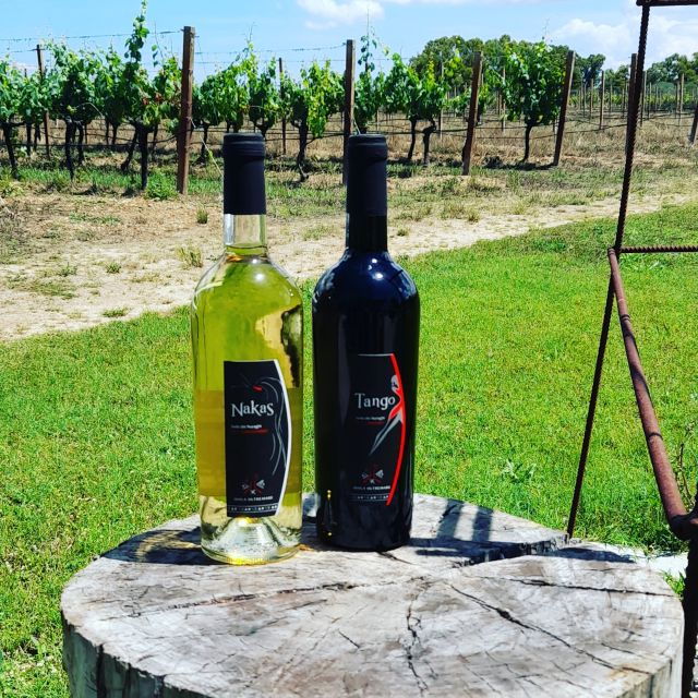 Alghero: Dinner in the Vineyard With Wine - Indulge in Sardinian Culinary Delights