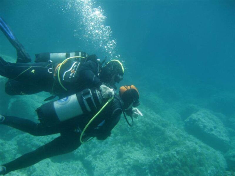 Alghero: discovery diving lesson for beginners - The Highlights of the Tour