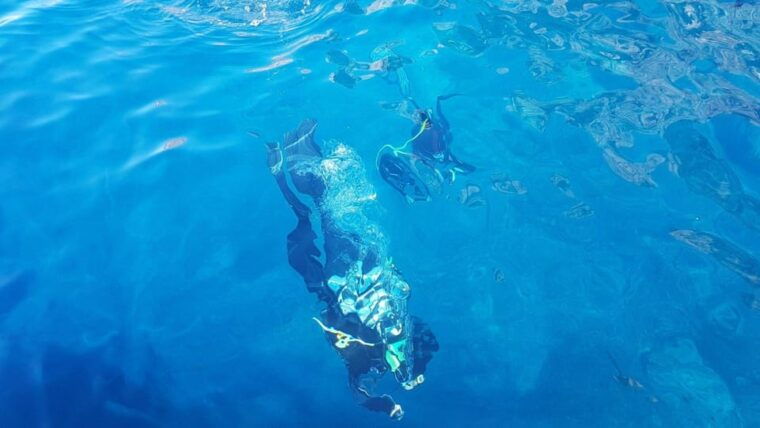 Alghero: discovery diving lesson for beginners - Is It Worth It?