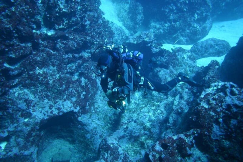 Alghero: Diving for Professionals at Capo Caccia - Eligibility and Requirements for Divers