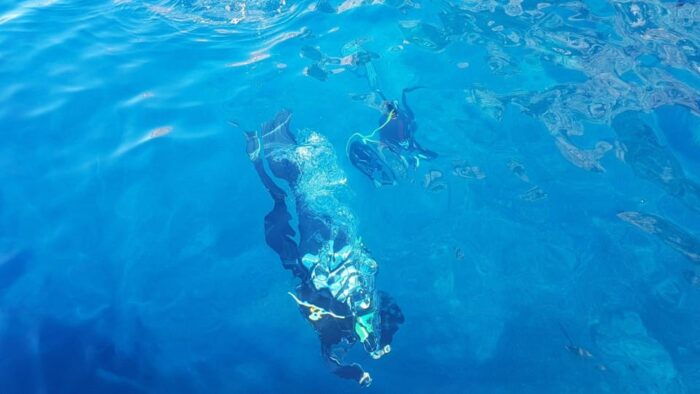 Alghero: Diving for Professionals at Capo Caccia - Customer Feedback and Reviews