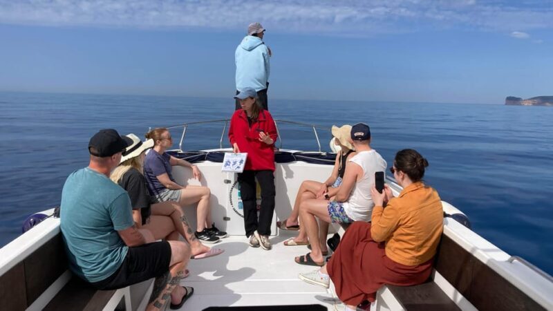 Alghero: Dolphin Watching Tour with Marine Biologists - The Sum Up: Who Should Consider This Tour?