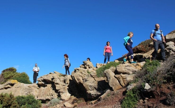 Alghero: Griffon Vulture Trek in Porto Conte Park - Good To Know