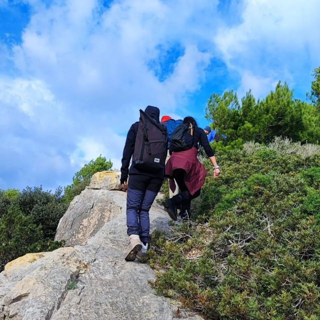 Alghero: Griffon Vulture Trek in Porto Conte Park - Activity Details