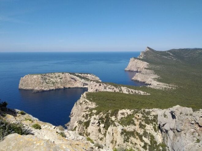 Alghero: Griffon Vulture Trek in Porto Conte Park - Inclusions