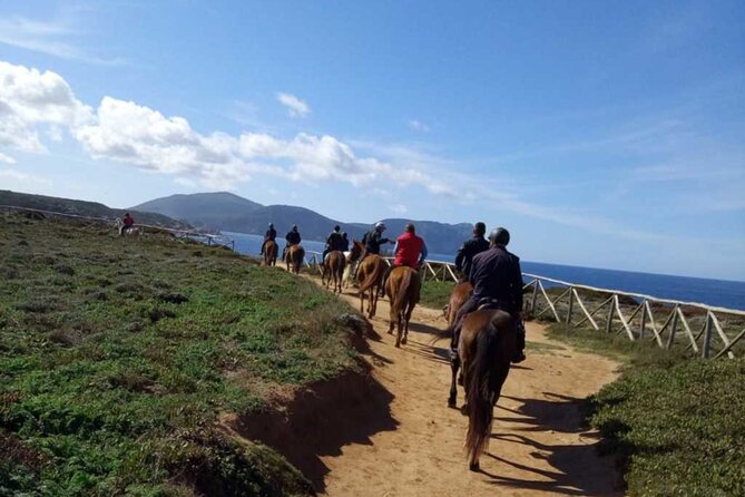 Alghero: Guided Horseback Ride at Lake Baratz & Porto Ferro - Booking Information