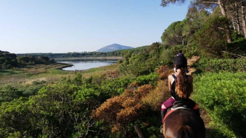Alghero: horseback riding for experts in Lake Baratz - Good To Know