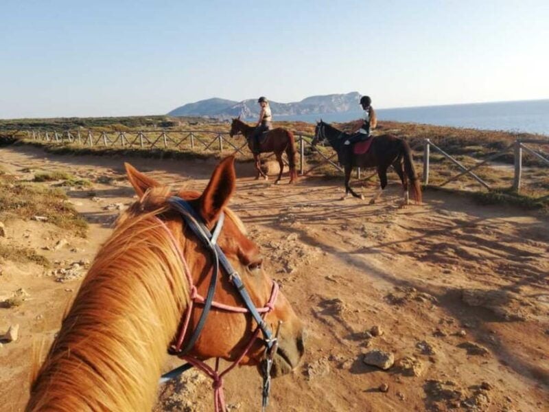 Alghero: horseback riding for experts in Lake Baratz - Practical Details and Logistics