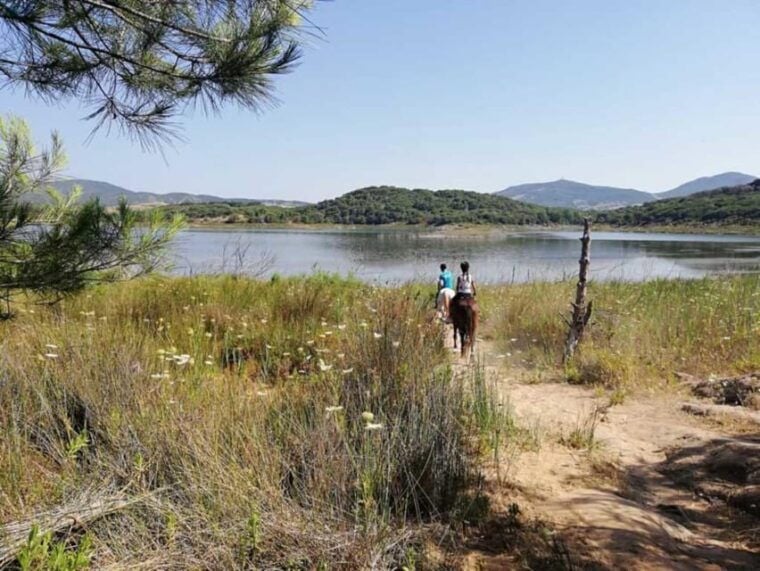 Alghero: horseback riding for experts in Lake Baratz - The Sum Up