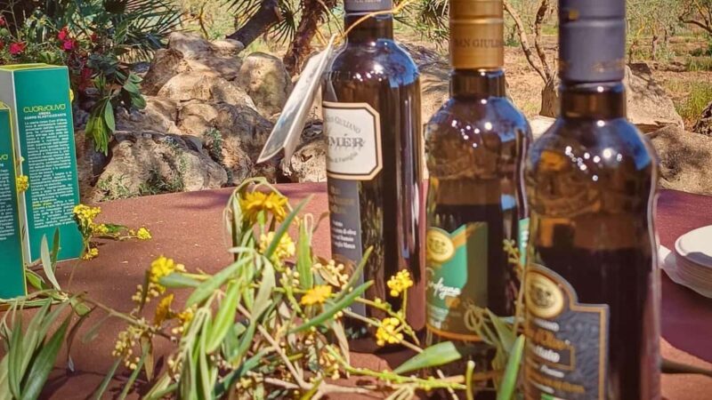 Alghero: Olive Grove Visit with Olive Oil Tasting - Good To Know