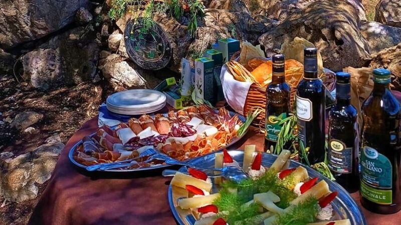 Alghero: Olive Grove Visit with Olive Oil Tasting - Exploring Sardinia’s Olive Heritage: What to Expect