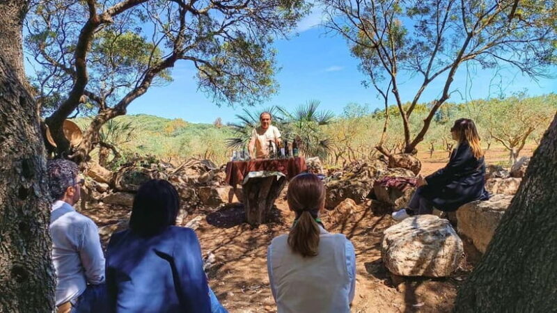 Alghero: Olive Grove Visit with Olive Oil Tasting - Wrapping Up