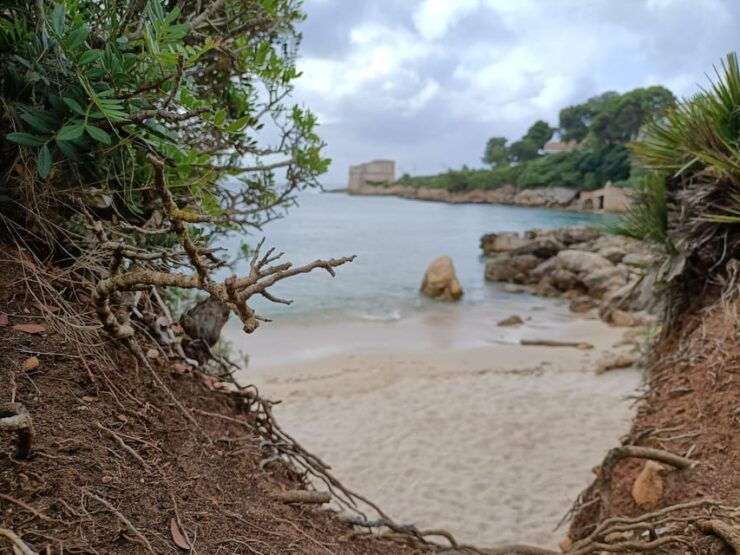 Alghero Panoramic E-Scooter Tour: Explore History & Nature - Good To Know