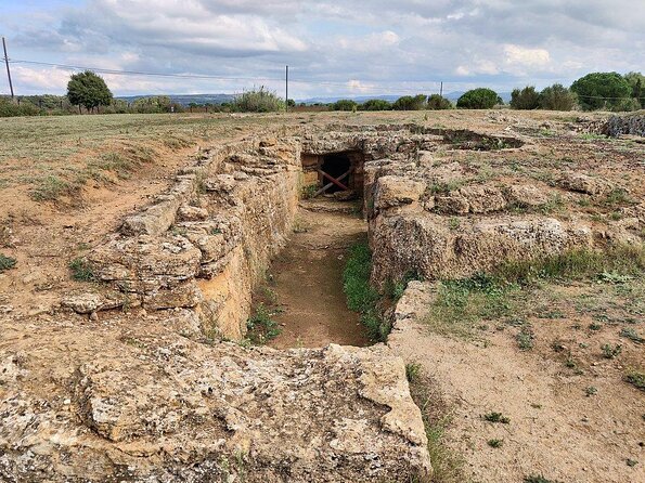Alghero: Private Archaeological Tour (Transfer Included) With Local Guide - Tour Experience Features