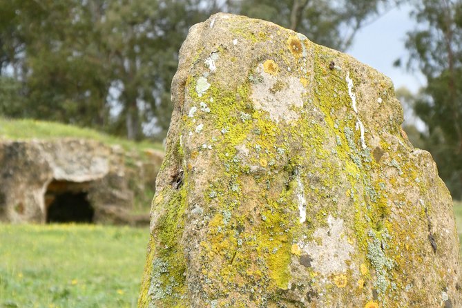 Alghero: Private Archaeological Tour (Transfer Included) With Local Guide - Transportation and Group Size
